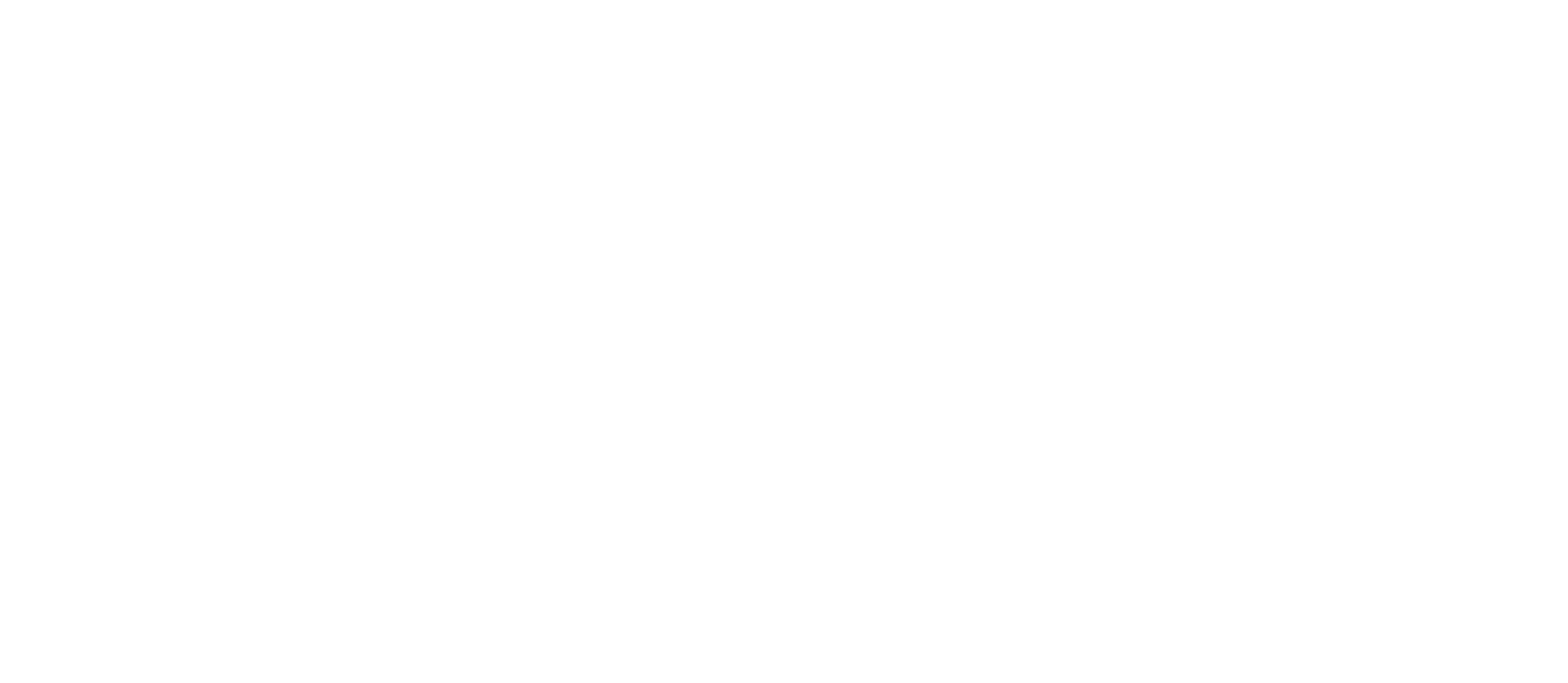 logo team inifno blanc
