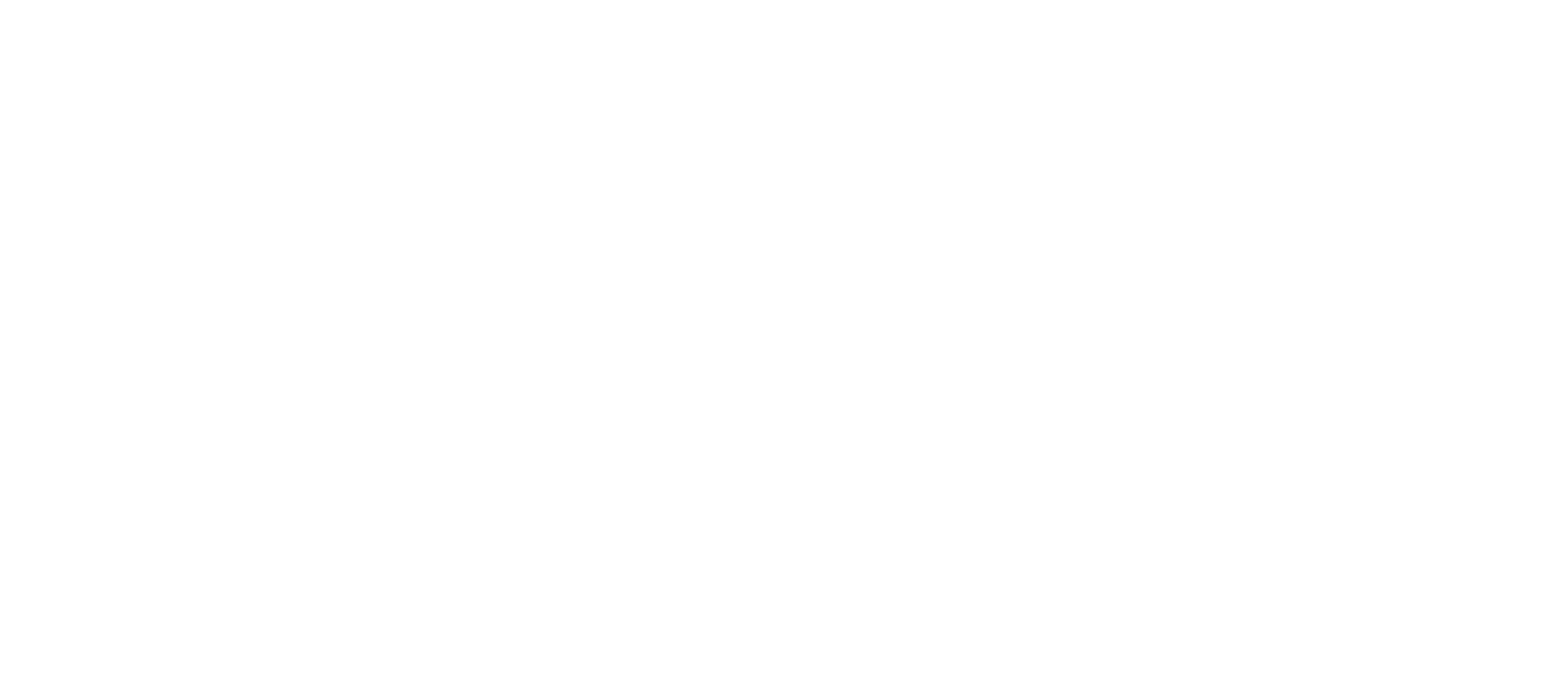 logo berugbe 2023 jpeg blanc